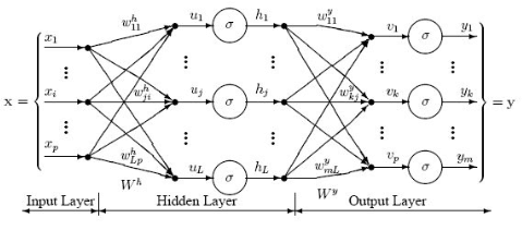 Neural Network